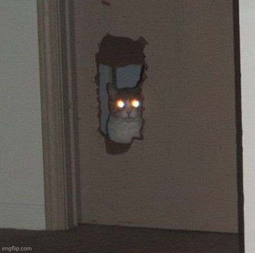 Cat staring through the door | image tagged in cat staring through the door | made w/ Imgflip meme maker