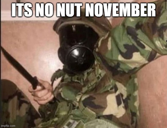 No nut November | ITS NO NUT NOVEMBER | image tagged in no nut november | made w/ Imgflip meme maker