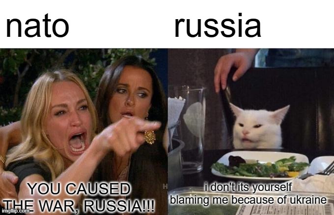 Woman Yelling At Cat Meme | nato; russia; i don't its yourself blaming me because of ukraine; YOU CAUSED THE WAR, RUSSIA!!! | image tagged in memes,woman yelling at cat | made w/ Imgflip meme maker