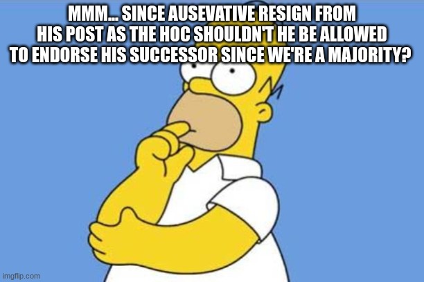 He won as the head of congress so it is rightfully for him to choose his next replacement? | MMM... SINCE AUSEVATIVE RESIGN FROM HIS POST AS THE HOC SHOULDN'T HE BE ALLOWED TO ENDORSE HIS SUCCESSOR SINCE WE'RE A MAJORITY? | image tagged in homer thinking | made w/ Imgflip meme maker