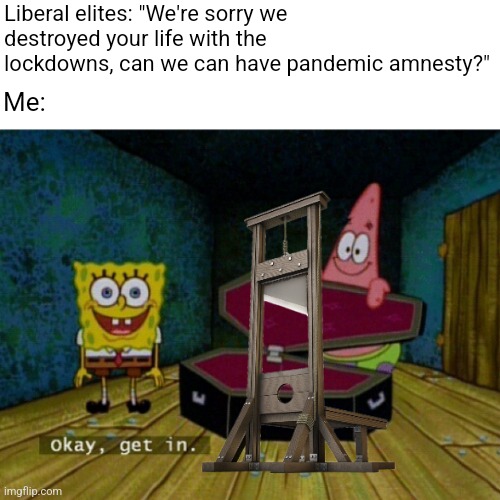 They want pandemic amnesty, I go full French Revolutionary | Liberal elites: "We're sorry we destroyed your life with the lockdowns, can we can have pandemic amnesty?"; Me: | image tagged in spongebob coffin,scumbag liberals,tyranny,say no to pandemic amnesty | made w/ Imgflip meme maker