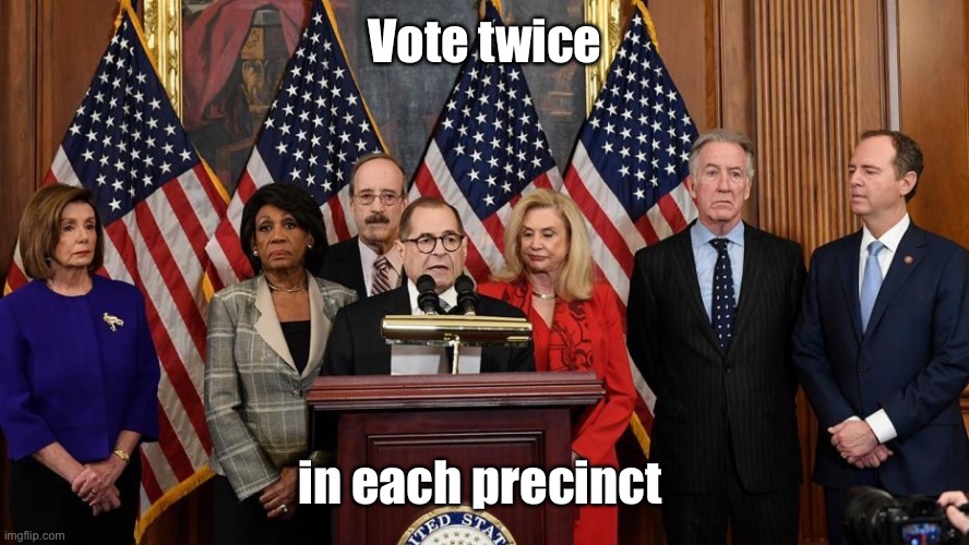 House Democrats | Vote twice in each precinct | image tagged in house democrats | made w/ Imgflip meme maker
