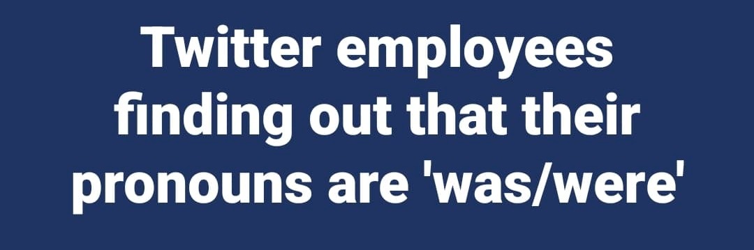Laughing my ass off every time I think of it. | image tagged in twitter employees,pronouns,was,were,always has been,losers | made w/ Imgflip meme maker