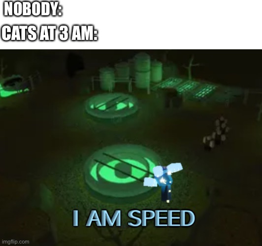 I Am Speed | NOBODY:; CATS AT 3 AM: | image tagged in gaming | made w/ Imgflip meme maker
