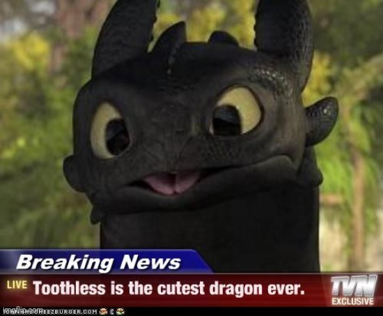 image tagged in how to train your dragon,httyd,night fury,toothless,cute,dragon | made w/ Imgflip meme maker