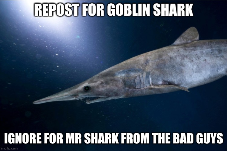 REPOST FOR GOBLIN SHARK; IGNORE FOR MR SHARK FROM THE BAD GUYS | made w/ Imgflip meme maker