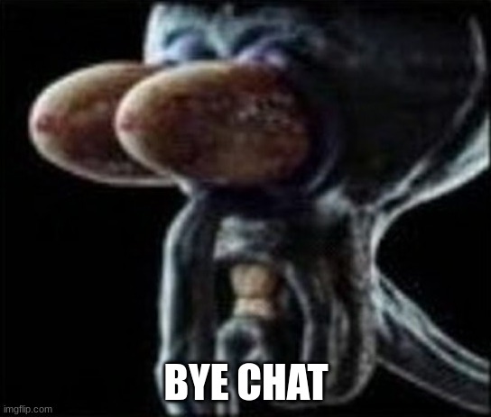 Squidward staring | BYE CHAT | image tagged in squidward staring | made w/ Imgflip meme maker