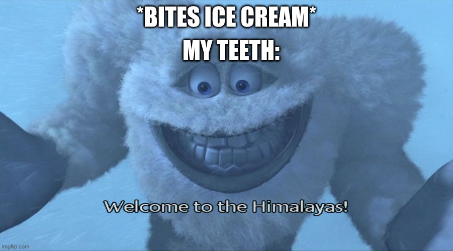Lol |  MY TEETH:; *BITES ICE CREAM* | image tagged in welcome to the himalayas,nooo haha go brrr | made w/ Imgflip meme maker