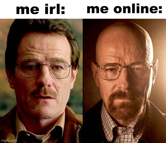 le me | me irl:; me online: | made w/ Imgflip meme maker