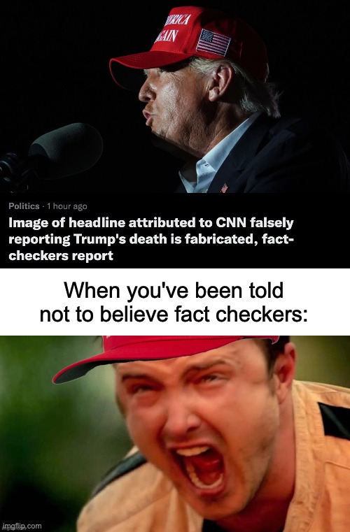 Trump is dead!!! | When you've been told not to believe fact checkers: | image tagged in donald trump,fake news,cnn,fact check,crab rave | made w/ Imgflip meme maker