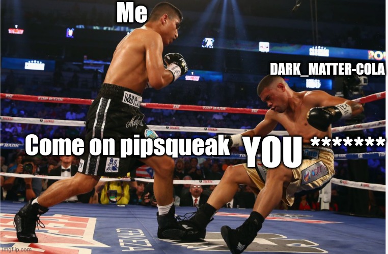 Boxing match | Me; DARK_MATTER-COLA; Come on pipsqueak; YOU ******* | image tagged in boxing match | made w/ Imgflip meme maker