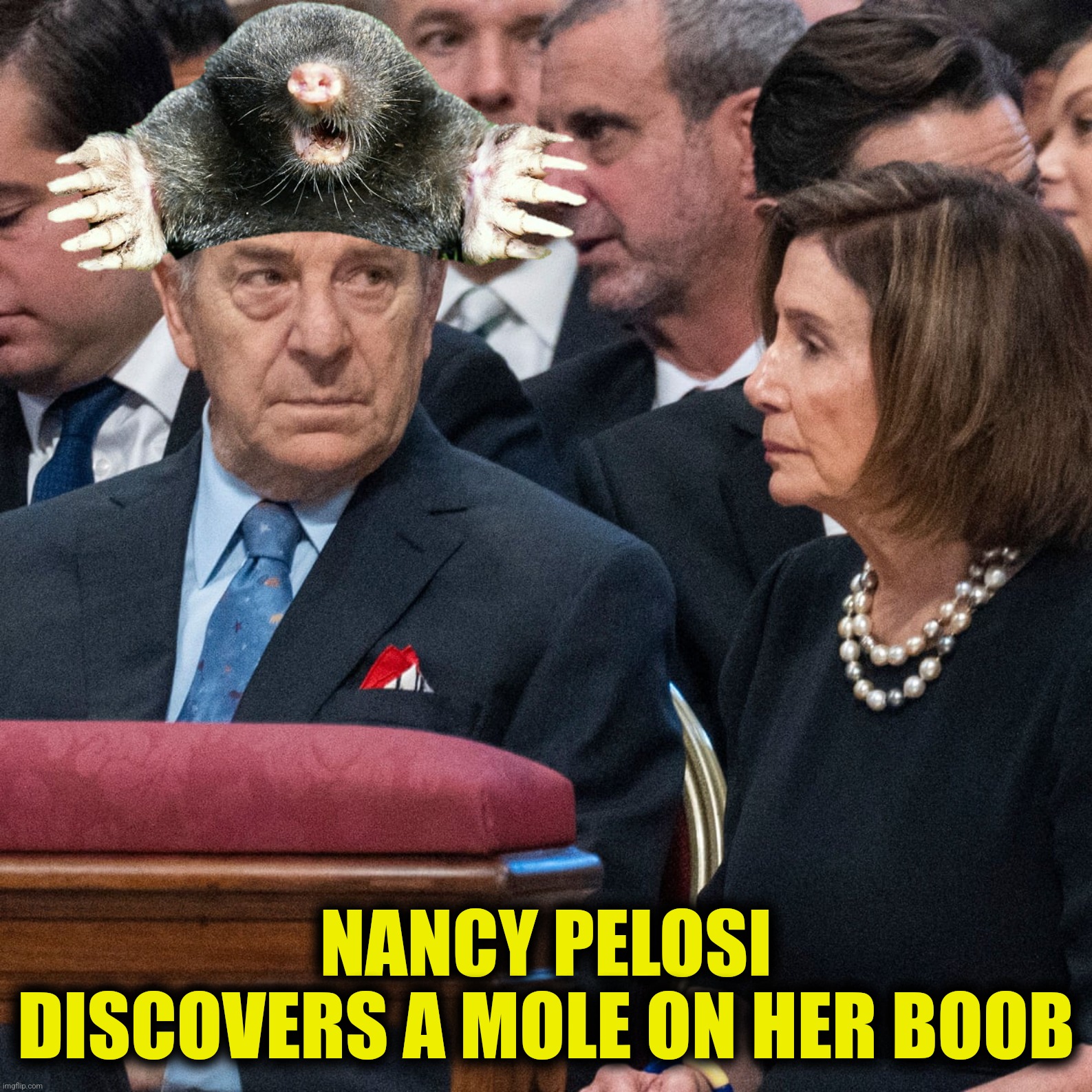 NANCY PELOSI DISCOVERS A MOLE ON HER BOOB | made w/ Imgflip meme maker