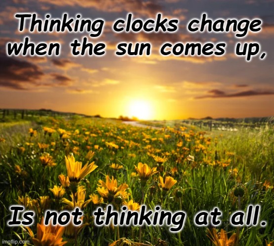 DST is Dumber than Stupid | Thinking clocks change when the sun comes up, Is not thinking at all. | made w/ Imgflip meme maker