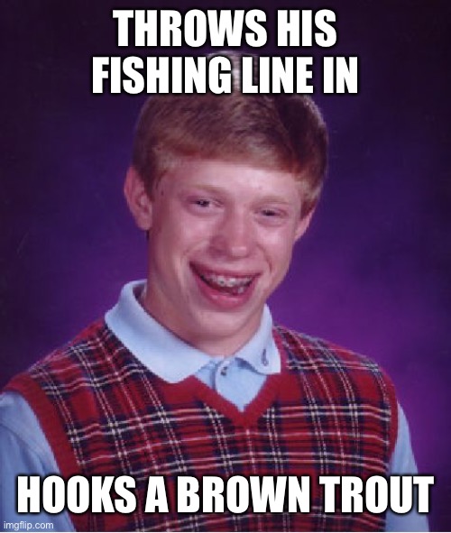 Bad Luck Brian Meme | THROWS HIS FISHING LINE IN HOOKS A BROWN TROUT | image tagged in memes,bad luck brian | made w/ Imgflip meme maker