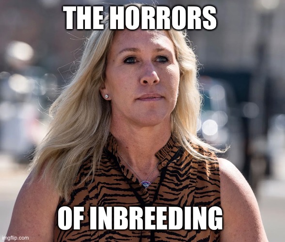 Inbred Politician | THE HORRORS; OF INBREEDING | image tagged in mtg,marjorie taylor greene | made w/ Imgflip meme maker