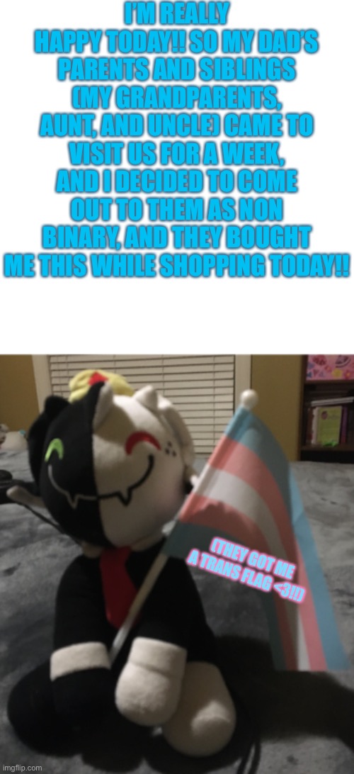 AHHHH IM SO HAPPY | I’M REALLY HAPPY TODAY!! SO MY DAD’S PARENTS AND SIBLINGS (MY GRANDPARENTS, AUNT, AND UNCLE) CAME TO VISIT US FOR A WEEK, AND I DECIDED TO COME OUT TO THEM AS NON BINARY, AND THEY BOUGHT ME THIS WHILE SHOPPING TODAY!! (THEY GOT ME A TRANS FLAG <3!!) | image tagged in memes,blank transparent square,non binary,transgender,lesbian,asexual | made w/ Imgflip meme maker