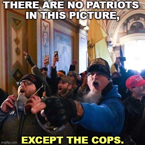 Lock 'em up. | THERE ARE NO PATRIOTS 
IN THIS PICTURE, EXCEPT THE COPS. | image tagged in capitol traitors,insurrection,hatred,constitution,riot,patriots | made w/ Imgflip meme maker