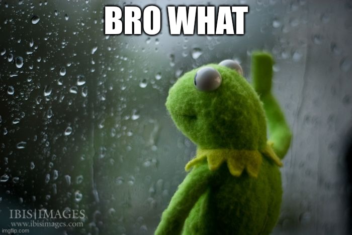 kermit | BRO WHAT | image tagged in kermit window | made w/ Imgflip meme maker