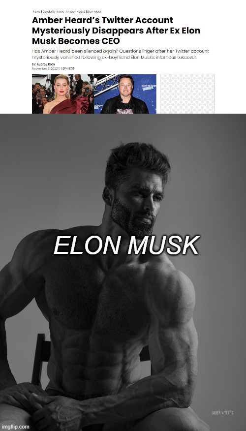 Elon musk is a johnny depp supporter confirmed. | ELON MUSK | image tagged in giga chad | made w/ Imgflip meme maker