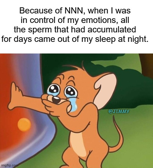 NNN meme | Because of NNN, when I was in control of my emotions, all the sperm that had accumulated for days came out of my sleep at night. @JIMMY | image tagged in blank white template,crying jerry,nnn | made w/ Imgflip meme maker