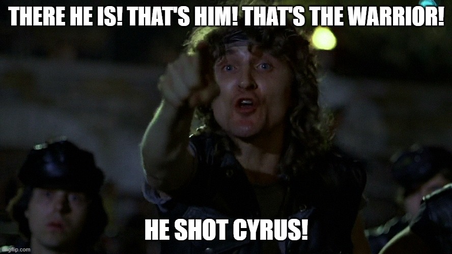 Lying Rogue | THERE HE IS! THAT'S HIM! THAT'S THE WARRIOR! HE SHOT CYRUS! | image tagged in movie quotes | made w/ Imgflip meme maker
