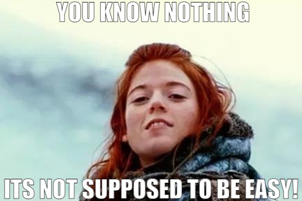 DID HAVE A HIGH IQ THEN SOMETHING HAPPENED! | YOU KNOW NOTHING; ITS NOT SUPPOSED TO BE EASY! | image tagged in you know nothing,meme | made w/ Imgflip meme maker