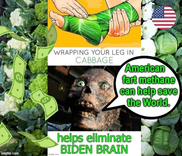 A cabbage is a cabbage ! | image tagged in old fart | made w/ Imgflip meme maker