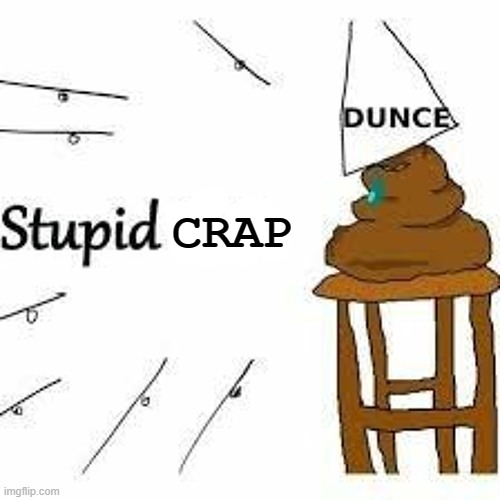 stupid crap | CRAP | image tagged in stupid,crap | made w/ Imgflip meme maker