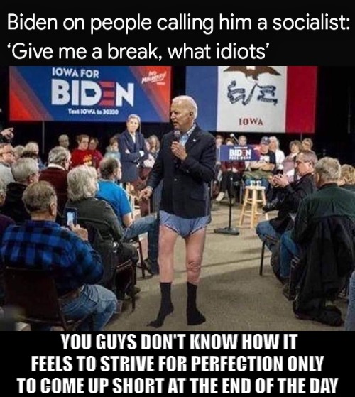 TO BE SOCIAL IS A SKILL I JUST HAPPEN TO BE GETTING PAID FOR IT! | YOU GUYS DON'T KNOW HOW IT FEELS TO STRIVE FOR PERFECTION ONLY TO COME UP SHORT AT THE END OF THE DAY | image tagged in joe biden,meme | made w/ Imgflip meme maker