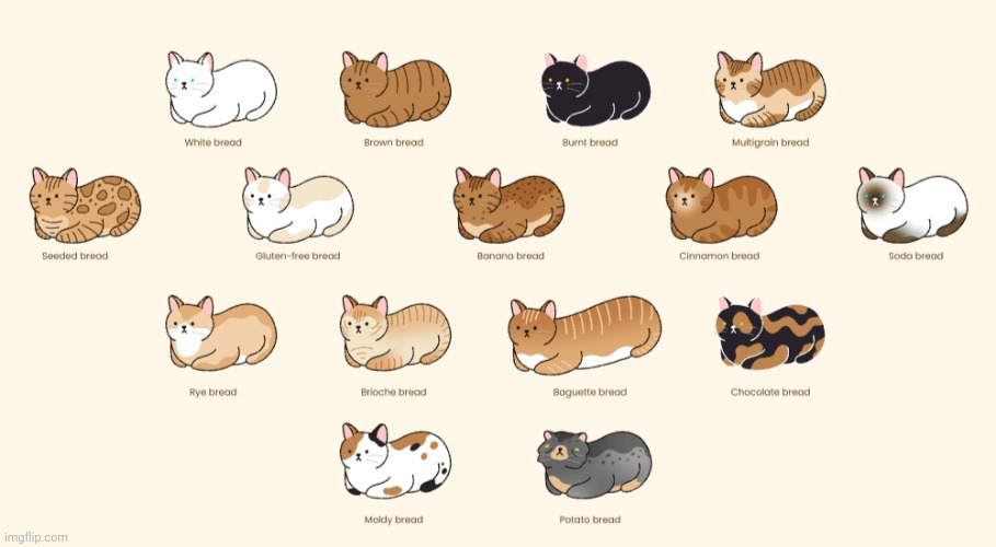 Cat Loafs V2 Imgflip