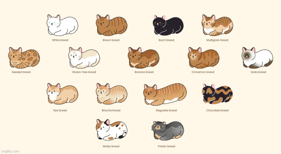 Cat loafs (and again) | made w/ Imgflip meme maker