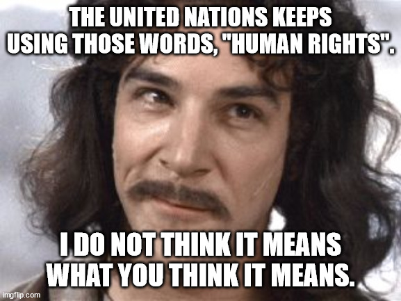 I Do Not Think That Means What You Think It Means | THE UNITED NATIONS KEEPS USING THOSE WORDS, "HUMAN RIGHTS". I DO NOT THINK IT MEANS WHAT YOU THINK IT MEANS. | image tagged in i do not think that means what you think it means | made w/ Imgflip meme maker