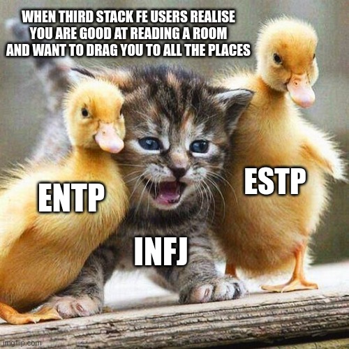 Kidnapping INFJ | WHEN THIRD STACK FE USERS REALISE
YOU ARE GOOD AT READING A ROOM
AND WANT TO DRAG YOU TO ALL THE PLACES; ESTP; ENTP; INFJ | image tagged in ducks and cat,mbti,myers briggs,entp,infj,personality | made w/ Imgflip meme maker
