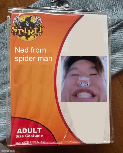 I’m late but idc | Ned from spider man | image tagged in spirit halloween,halloween,spiderman,ned | made w/ Imgflip meme maker