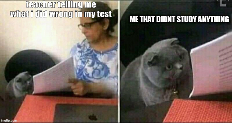 Black Cat and Teacher | teacher telling me what i did wrong in my test; ME THAT DIDNT STUDY ANYTHING | image tagged in black cat and teacher,school | made w/ Imgflip meme maker