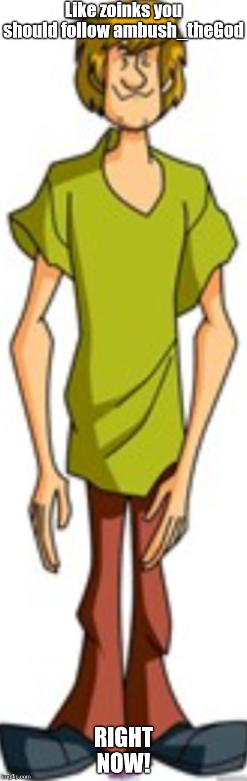 Shaggy Standing | Like zoinks you should follow ambush_theGod; RIGHT NOW! | image tagged in shaggy standing | made w/ Imgflip meme maker