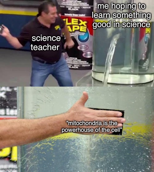 secondary school be like | me hoping to learn something good in science; science teacher; “mitochondria is the powerhouse of the cell” | image tagged in flex tape | made w/ Imgflip meme maker