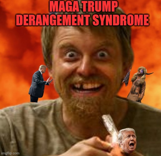 Maga trump derangement syndrome |  MAGA TRUMP DERANGEMENT SYNDROME | image tagged in maga,tds,democrats,drug addiction | made w/ Imgflip meme maker