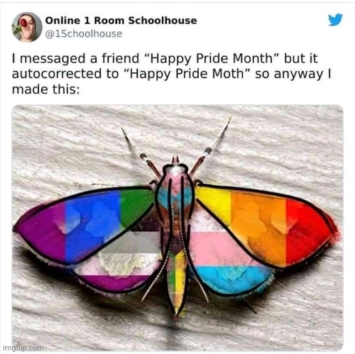 *Whismur Screech* MOTHRY!!!! | image tagged in moth,lgbtq,memes,pride month | made w/ Imgflip meme maker