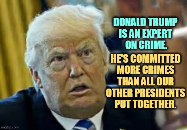 Dilated again. | DONALD TRUMP 

IS AN EXPERT 
ON CRIME. HE'S COMMITTED MORE CRIMES THAN ALL OUR OTHER PRESIDENTS PUT TOGETHER. | image tagged in trump dilated taken aback aghast surprised,donald trump,crime,expert,criminal,lock him up | made w/ Imgflip meme maker