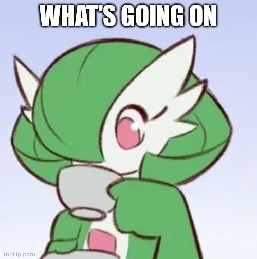 Hello chat | WHAT'S GOING ON | image tagged in gardevoir sipping tea | made w/ Imgflip meme maker