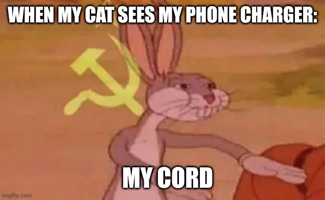 Bugs bunny communist | MY CORD; WHEN MY CAT SEES MY PHONE CHARGER: | image tagged in bugs bunny communist,cat,bugs bunny | made w/ Imgflip meme maker