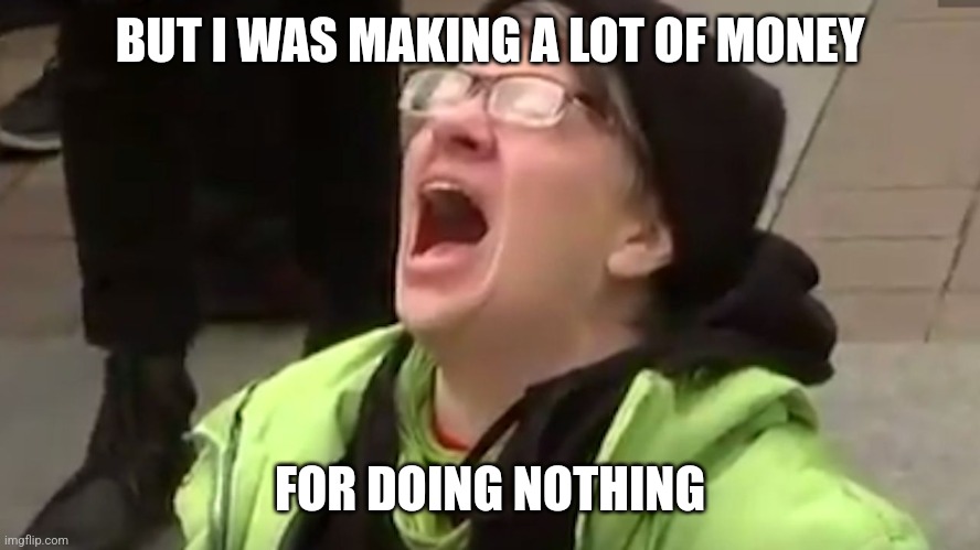 Screaming Liberal  | BUT I WAS MAKING A LOT OF MONEY FOR DOING NOTHING | image tagged in screaming liberal | made w/ Imgflip meme maker