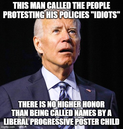 High Honors |  THIS MAN CALLED THE PEOPLE PROTESTING HIS POLICIES "IDIOTS"; THERE IS NO HIGHER HONOR THAN BEING CALLED NAMES BY A LIBERAL PROGRESSIVE POSTER CHILD | image tagged in joe biden,congratulations,well played protesters,democrat anger,maga,dementia joe | made w/ Imgflip meme maker