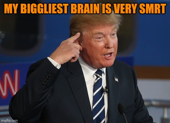 Donald Trump Pointing to His Head | MY BIGGLIEST BRAIN IS VERY SMRT | image tagged in donald trump pointing to his head | made w/ Imgflip meme maker