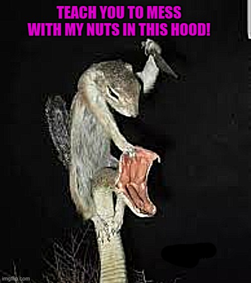 The best memes by kewlew in 2022 | TEACH YOU TO MESS WITH MY NUTS IN THIS HOOD! | image tagged in the best memes,by kewlew,kewlew | made w/ Imgflip meme maker