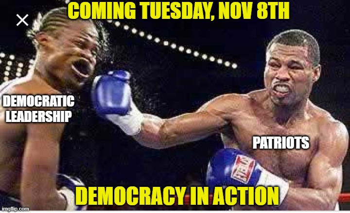 Gonna be fun | COMING TUESDAY, NOV 8TH; DEMOCRATIC LEADERSHIP; PATRIOTS; DEMOCRACY IN ACTION | image tagged in punch to the face,liberals,democrats,joe biden,woke,democracy | made w/ Imgflip meme maker