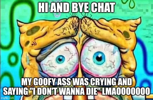 tired spunch bop | HI AND BYE CHAT; MY GOOFY ASS WAS CRYING AND SAYING "I DON'T WANNA DIE" LMAOOOOOOO | image tagged in tired spunch bop | made w/ Imgflip meme maker