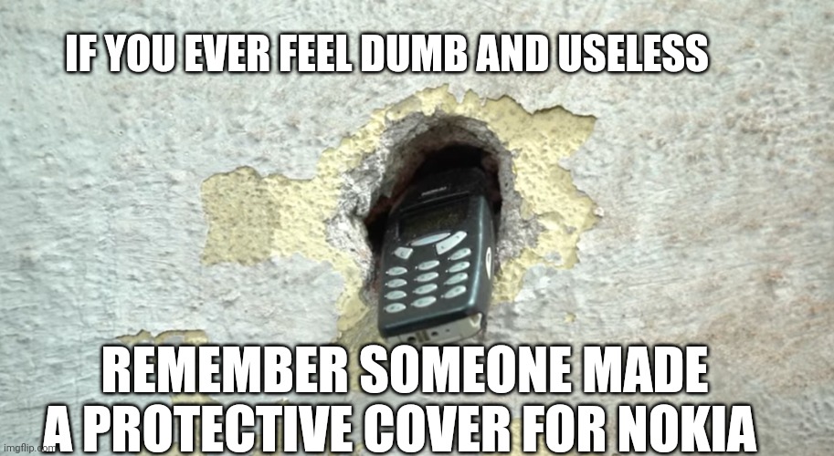 Nokia 3310 | IF YOU EVER FEEL DUMB AND USELESS; REMEMBER SOMEONE MADE A PROTECTIVE COVER FOR NOKIA | image tagged in nokia 3310,finland | made w/ Imgflip meme maker
