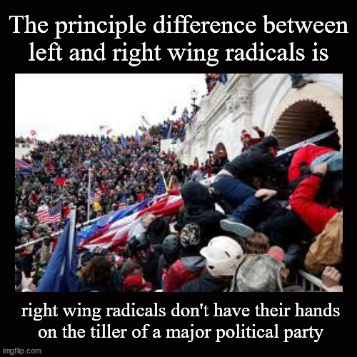 The principle difference between left and right wing radicals is ... | The principle difference between
left and right wing radicals is; right wing radicals don't have their hands
on the tiller of a major political party | image tagged in far left,far right,extremism | made w/ Imgflip meme maker